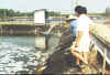 Training in progress in school farming ponds