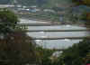 PICT0065.JPG (46038 bytes)
