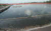PICT0162.JPG (56531 bytes)