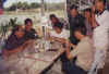 Practical work on pond water analysis in progress.